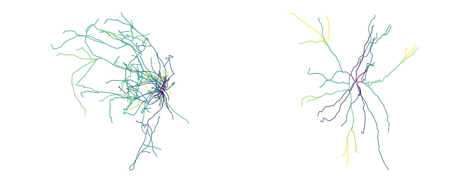 Branch-order analysis before and after pruning the axon