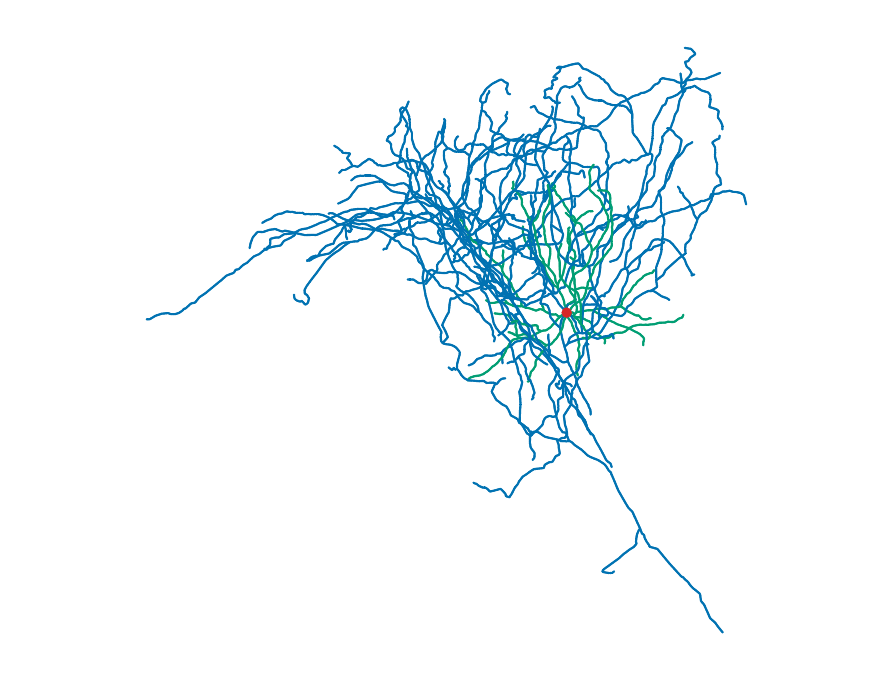 A real Sst interneuron morphology rendered by the quick-start example