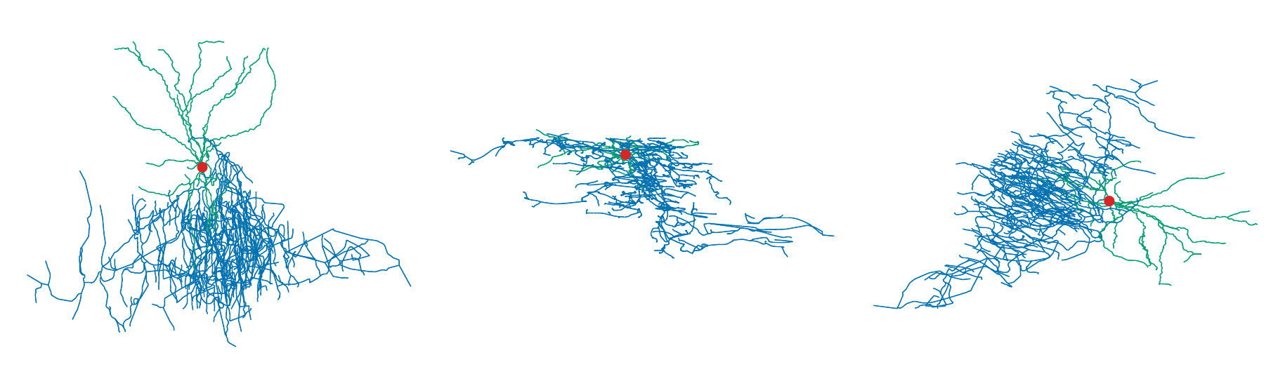 The same Vipr2 morphology rendered in XY, XZ, and oblique projections