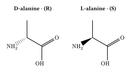 D- and L-alanine stereochemistry