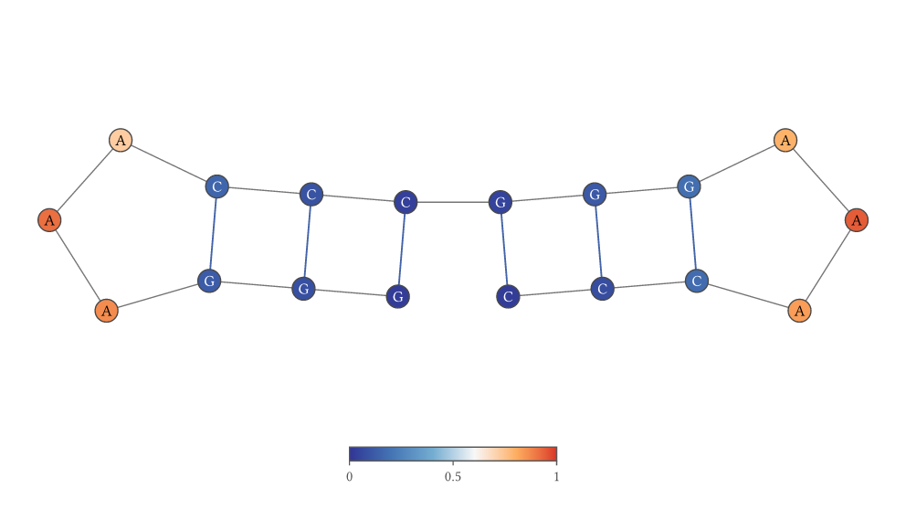 RNA structure colored by continuous values with a color legend