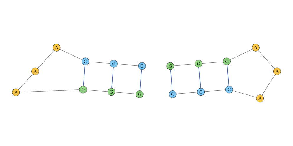 RNA structure with manually edited coordinates and annotations