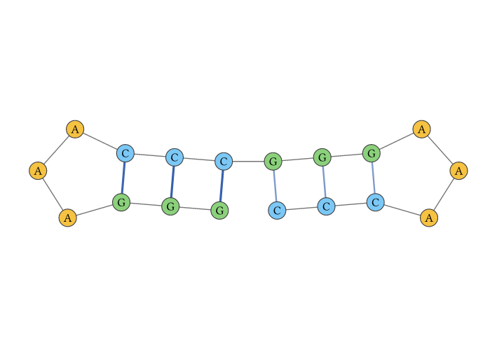 Predicted RNA secondary structure