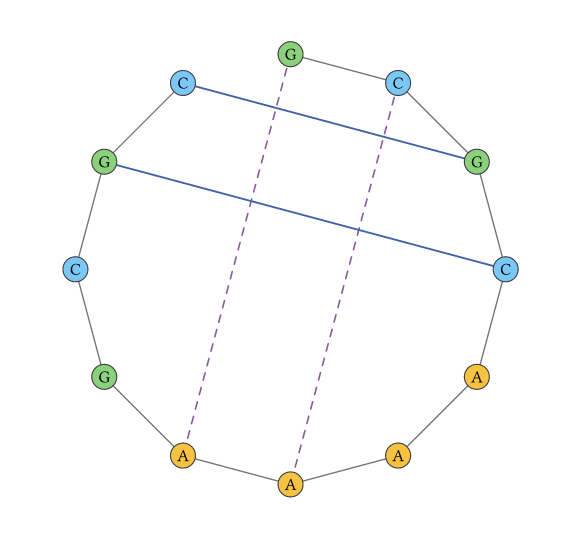 RNA pseudoknot with crossing interactions