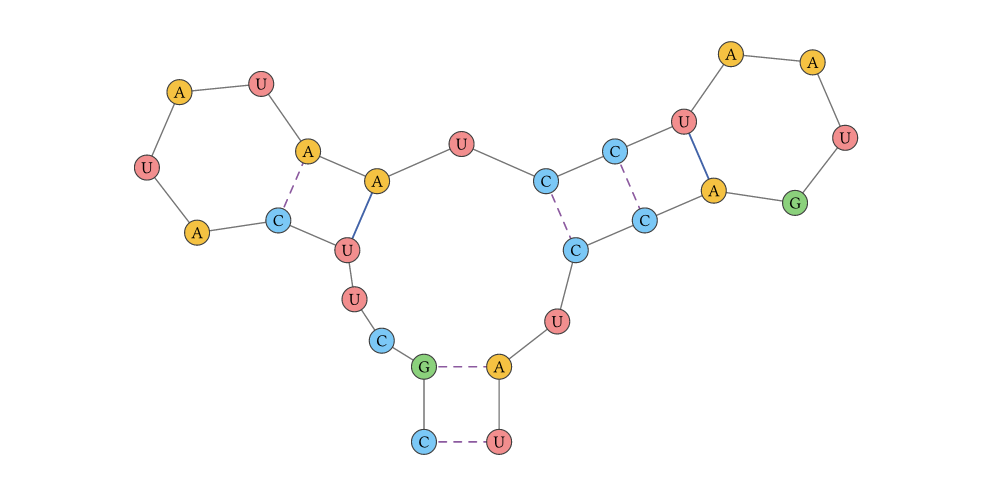 RNA secondary structure with a highlighted loop and base pair