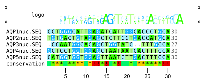 DNA alignment preview